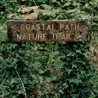 Critical Path - Your North Star for Predictable Project Delivery